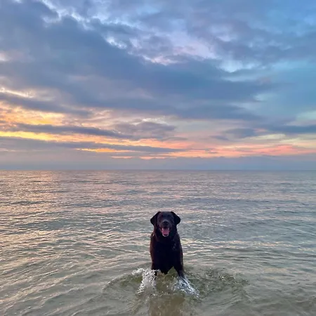 Diuna Kwatera prywatna Dębki