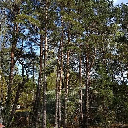 Diuna Privatunterkunft *