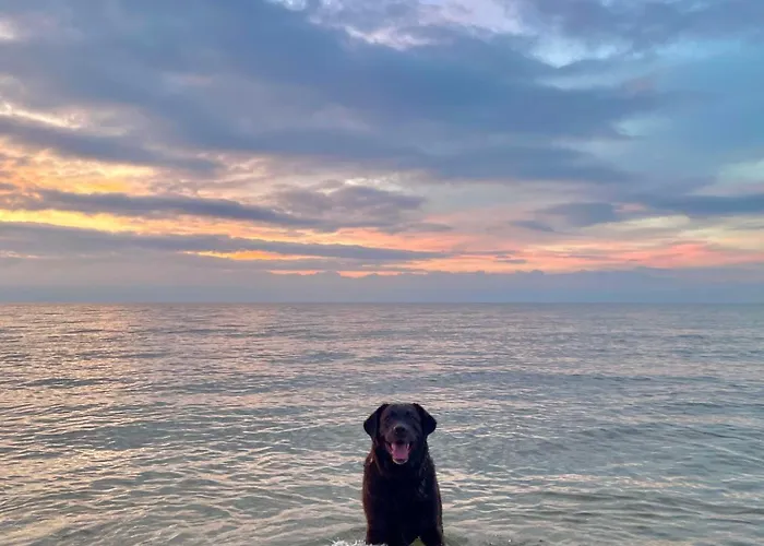 Diuna Ubytování v soukromí Dębki